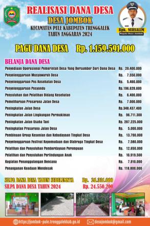 Realisasi Penggunaan Dana Desa Tahun Anggaran 2024